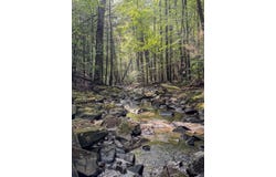 Tall Tree Trail lot: 412, Dunlap, TN 37327