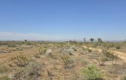 175th St E / Ave W14, Llano, CA 93544