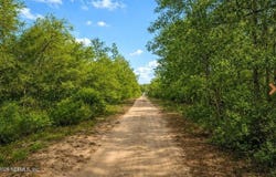 NELL Road, Interlachen, FL 32148