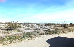 JOHNSON Road, Phelan, CA 92371