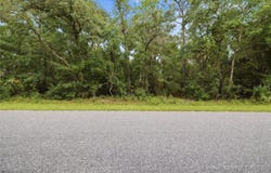 1295 E RAY Street, HERNANDO, FL 34442