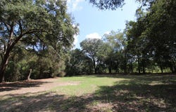 Willingham Road, Ochlocknee, GA 31773