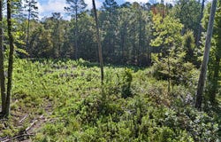 Welcome Home Road, Hector, AR 72843