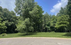 Donna Lane, Dryden, MI 48428