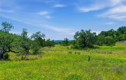 623 Whiskey Trl, Blanco, TX 78606