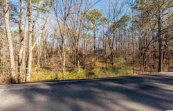 1100 VAIL CIRCLE lot: 17, BIRMINGHAM, AL 35215