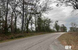3000 Block N Pine Barren Road, McDavid, FL 32568