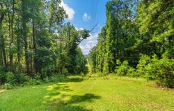 Roger Copeland Road, Hamilton, GA 31811