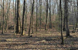 Highway 336 E, Clinton, AR 72031