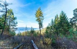 NKA 39-Ac Half Round Bay Rd, Harrison, ID 83833