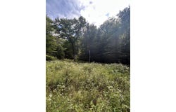 230 Little River Retreat Rd, Bartow, WV 24920