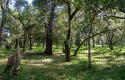 35000 Robinson Canyon RD, carmel, CA 93923