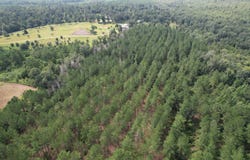 Laramore Rd, Marianna, FL 32448