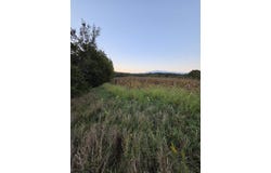 Walking Trail Drive, Greentop, MO 63546