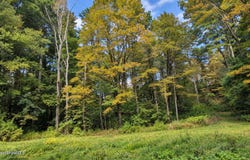 MA-41 lot: 3, Richmond, MA 01254