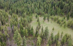 Tract A West Meadow Road, Darby, MT 59829