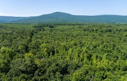 10907 B Cedar Creek Rd, Hartford, AR 72938