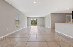 11722 WHITE WILLOW Lane, RIVERVIEW, FL 33569
