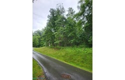 Lot 50 Donald Ross, Hot Springs, VA 24445
