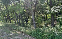 4401 Dexham Road, Rowlett, TX 75088