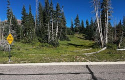 1075 S Bristlecone Ln, Brian Head, UT 84719