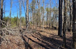 Carl Mathis Road, Talbotton, GA 31827