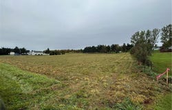 Plank Road, Calcium, NY 13616
