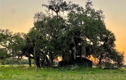501 Norris Road, Labelle, FL 33935