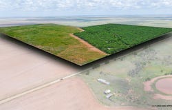 CR 260, Anson, TX 79501