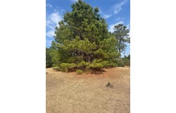 123 Koali Dr, Bastrop, TX 78602