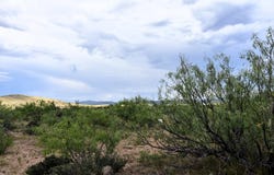406 Sagebrush Road, Alpine, TX 79830
