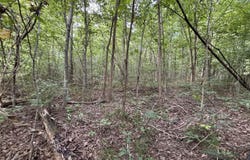 1041 Flood Road, Hardinsburg, KY 40143