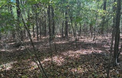 800 S STONEY POINT Rd, Double Springs, AL 35553