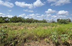 FM 614, Ovalo, TX 79541
