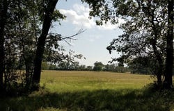 A00008 Kickapoo Road, Groveton, TX 75845