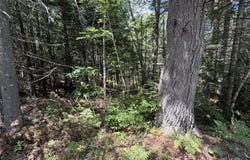 Polly Clark Brook lot: R05129, Wiscasset, ME 04578