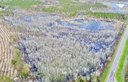 Highway 10, Pine Hill, AL 36769