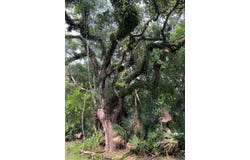 139 8th St, Apalachicola, FL 32320
