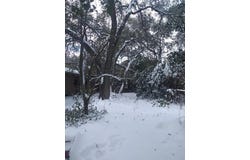 8002 PERSIMMON Trl, Austin, TX 78745