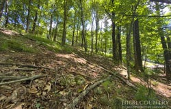 Grandview Dr. Extension, Boone, NC 28607