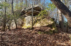 Deerhead Road 5, Dunlap, TN 37327