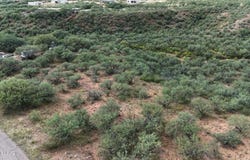 1758 Circulo Corona Rio, Rio Rico, AZ 85648