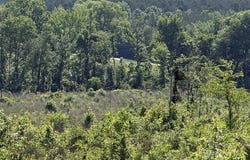 949 Ford Road, Homer, LA 71040