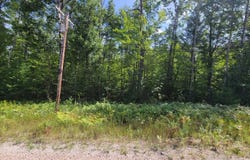 15907 Avenue Du Chalet, Wolverine, MI 49799