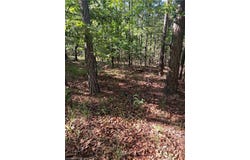 TBD S Booth AVE, Wister, OK 74966