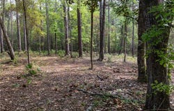 Cedar Trace, Theodore, AL 36582