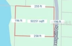 34253 BERRYHILL Drive, WEBSTER, FL 33597