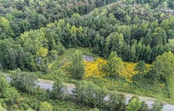 Booger Hollow Road, Dover, AR 72837