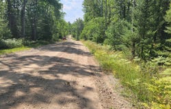14542 Shoreline Drive, Wolverine, MI 49799