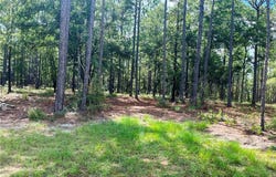 State Highway 225, Bay Minette, AL 36507